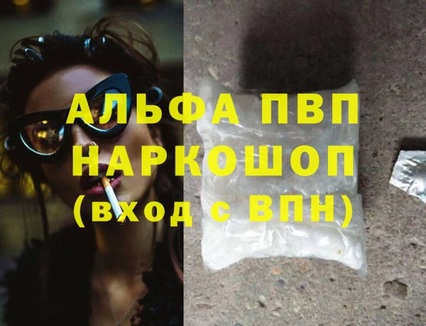 СК Абинск