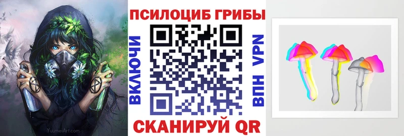 Галлюциногенные грибы Psilocybine cubensis  закладки  Яранск 